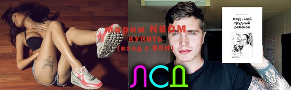 ПСИЛОЦИБИНОВЫЕ ГРИБЫ Арсеньев