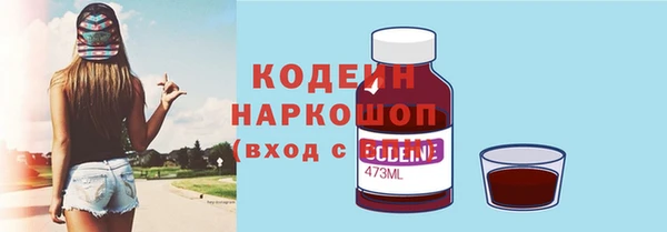 ПСИЛОЦИБИНОВЫЕ ГРИБЫ Арсеньев