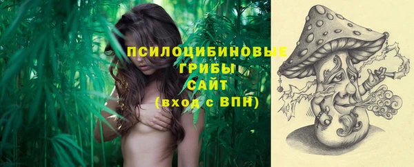 дурь Аркадак