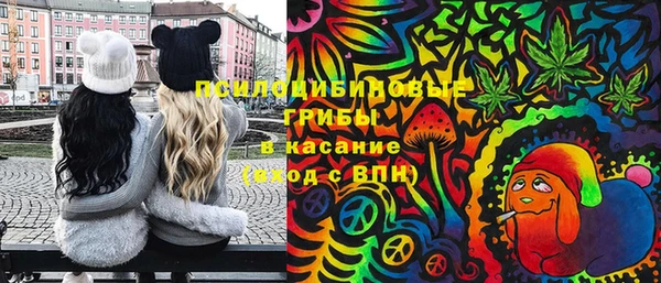 индика Армянск