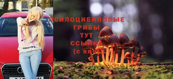 индика Армянск