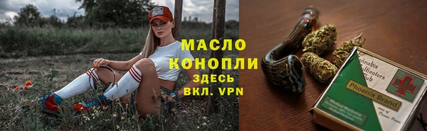 индика Армянск
